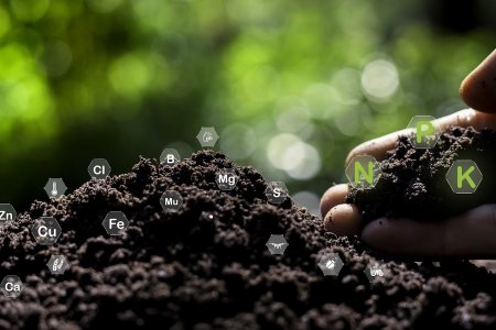 Saúde do solo: a base para uma agricultura produtiva em 2025