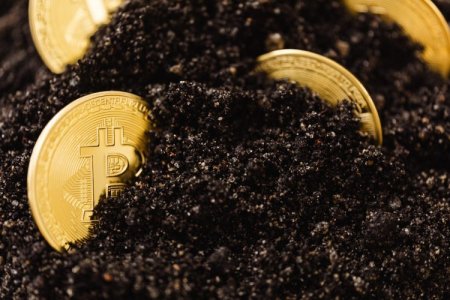 TAXA SELIC E SUA INFLUÊNCIA NA GESTÃO AGRÍCOLA
