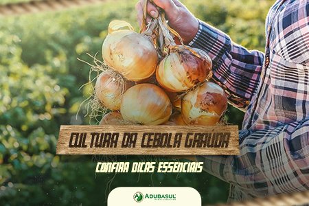 Cebola Graúda: Como Cuidar da Lavoura e Garantir uma Boa Produção. 