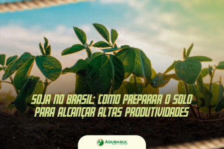  Soja no Brasil: como preparar o solo para alcançar altas produtividades