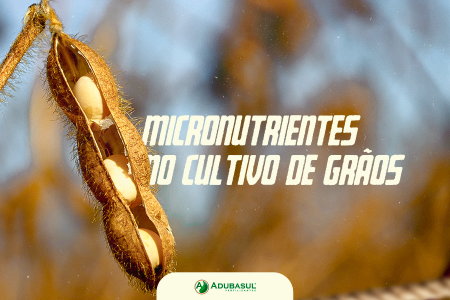Micronutrientes: a base invisível da produtividade