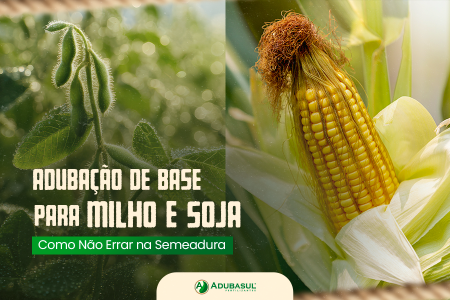 Adubação de Base para Milho e Soja: Como Não Errar na Semeadura