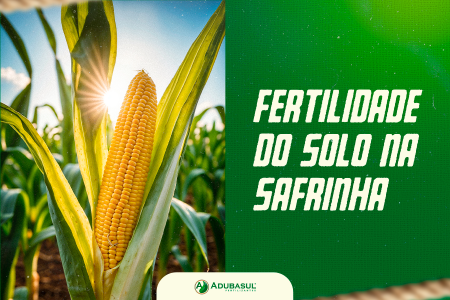 O solo não descansa: como manter a alta performance na transição de safras