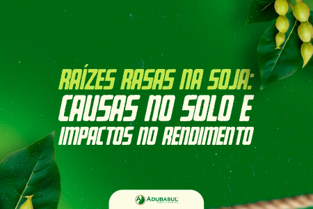  Raízes rasas na soja: causas no solo e impactos no rendimento
