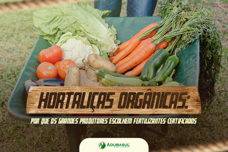 Hortaliças orgânicas: por que os grandes produtores escolhem fertilizantes certificados