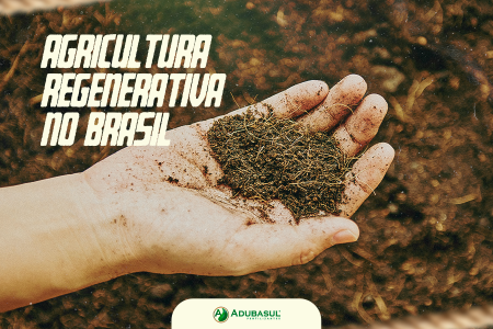 Agricultura regenerativa: produtividade e sustentabilidade lado a lado