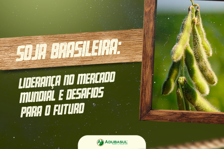  Soja brasileira: liderança no mercado mundial e desafios para o futuro
