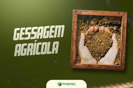 Gessagem agrícola: o que é e por que aplicar