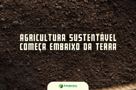Agricultura sustentável começa embaixo da terra: o papel do solo saudável na lavoura do futuro