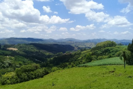 Como obter maior rendimento com manejo do campo nativo