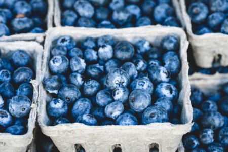 Cultivo de Mirtilo e Pitaya: tudo sobre as novas culturas de maior rentabilidade na agricultura fa