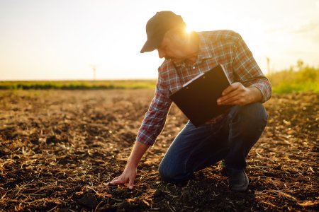 Nutrição de solo contínua: maximize sua produtividade