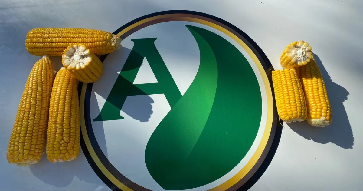 42° ano de atuação da Adubasul
